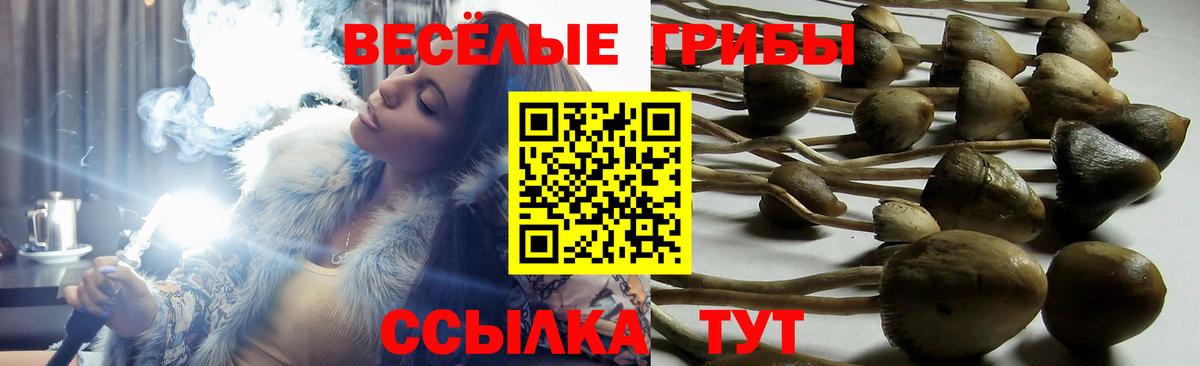 где найти наркотики  Вход с VPN  Москва  Галлюциногенные грибы мухоморы 
