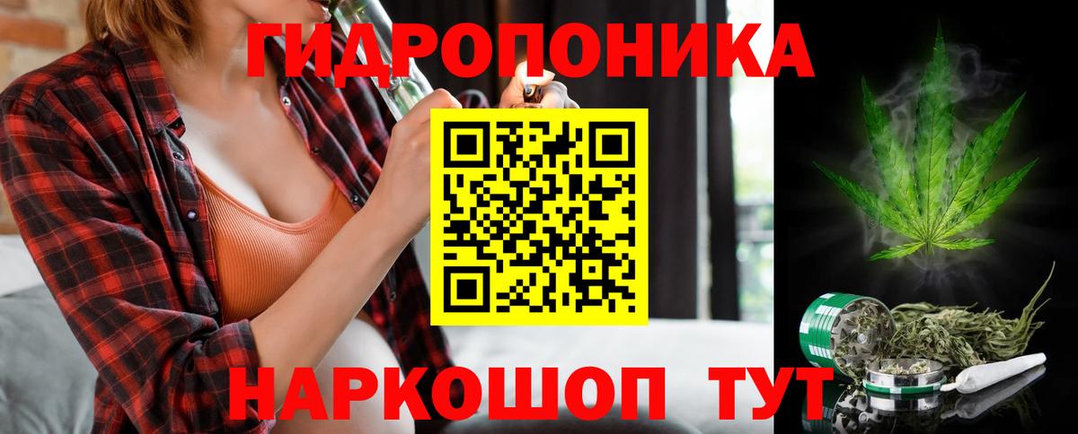 Бошки Шишки гибрид  Канабис марихуана  Вход с VPN  Москва  МАРИХУАНА Amnesia 